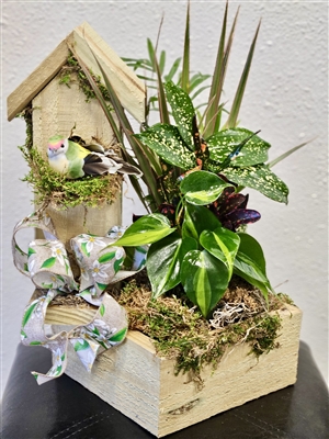 Rustic floral arrangement featuring a wooden birdhouse with moss accents, a colorful bird figurine, vibrant tropical greenery, and a decorative floral-patterned ribbon, all set in a natural wooden planter box.