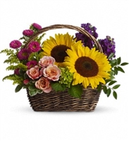 Sunflower basket arrangement with peach spray roses, green hydrangea, purple stock, and Matsumoto asters. Sunflower basket arrangement with peach spray roses, green hydrangea, purple stock, and Matsumoto asters.