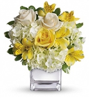 White hydrangea, yellow roses, crème roses, and yellow alstroemeria arranged in a glass cube vase. White hydrangea, yellow roses, crème roses, and yellow alstroemeria arranged in a glass cube vase.